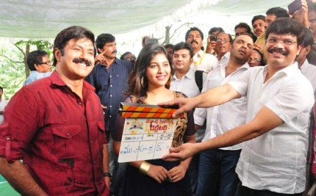 Dictator_movie_launched_niharonline